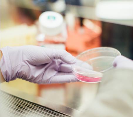 Quality management for pharma Quality management for pharma